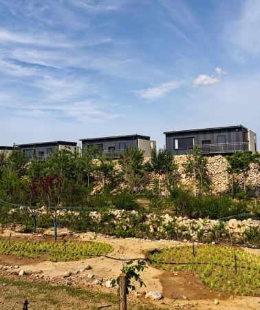 3D2N • Ningxia: 3-Day Wine Country & Desert Adventure with Meals