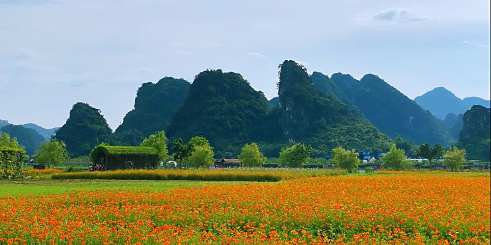永安旅遊