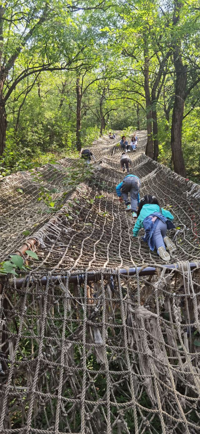 北京生存岛实践基地旅行图片 8