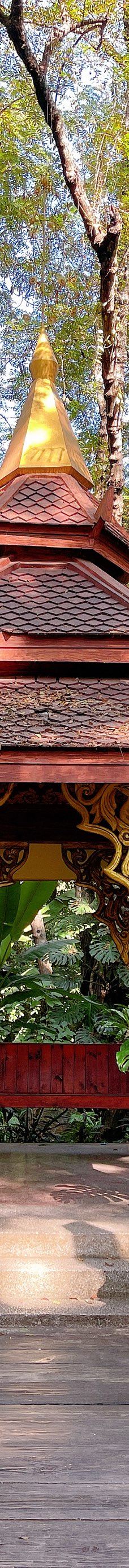 曼听御花园-景洪