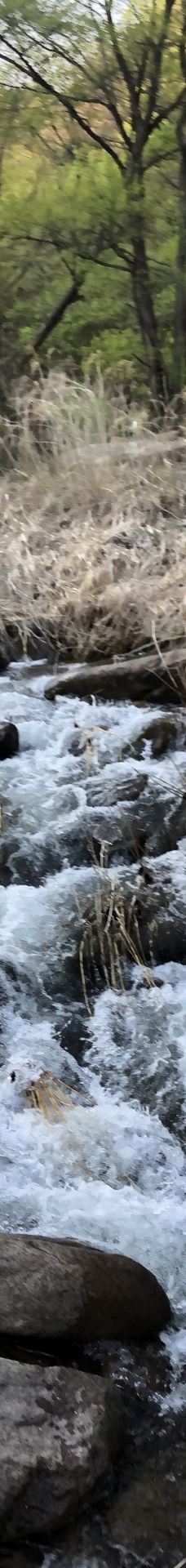 猴石国家森林公园-新宾