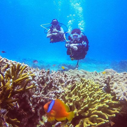 潜水·菲律宾薄荷岛+巴里卡萨岛6日5晚跟团游