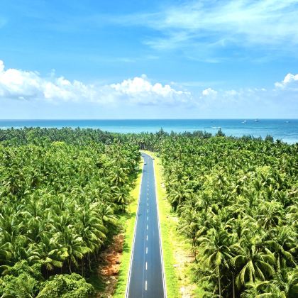 海南海口+文昌+琼海+万宁+儋州+昌江+东方+保亭+陵水+三亚10日9晚私家团