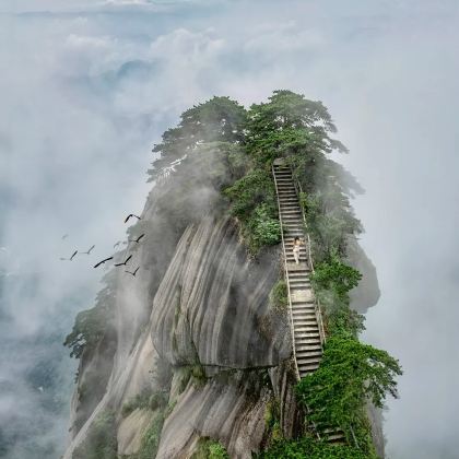 安徽安庆+天柱山+黄山4日3晚自由行