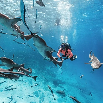 海南三亚8日7晚跟团游