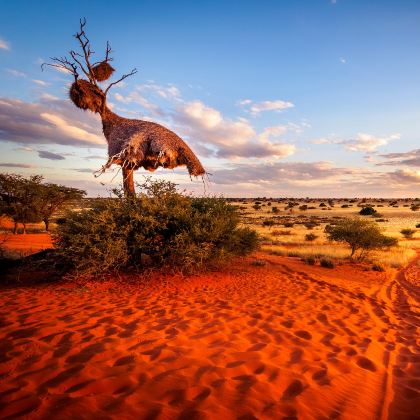 南非+布莱德河峡谷+克尼斯纳角11日9晚私家团