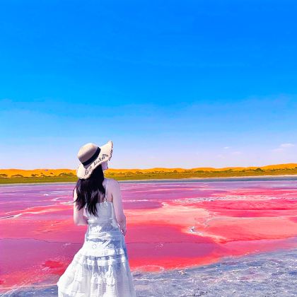 宁夏银川+中卫+阿拉善左旗4日3晚拼小团