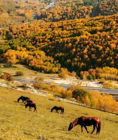 9D8N • Chifeng + Yulong Sand Lake + Ulan Butong Guoju Campground