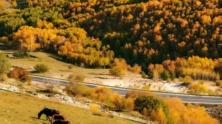 9-Day Beijing + Chifeng + Yulong Sand Lake + Ulan Butong Guoju Campground