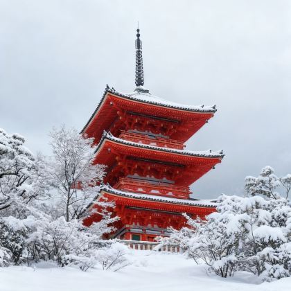 日本东京+京都+大阪+名古屋+河口湖+浅草寺+大阪城天守阁+通天阁+清水寺7日6晚拼小团