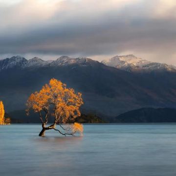 新西兰南岛10日8晚私家团