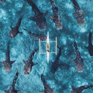 菲律宾宿务+薄荷岛+巴里卡萨岛6日5晚跟团游