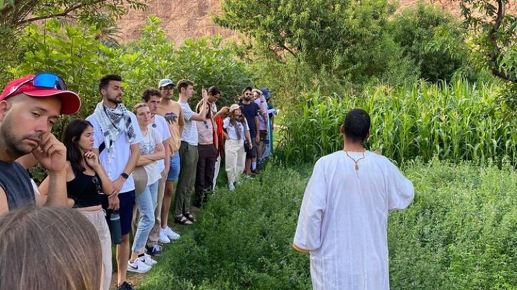 3D2N · Group Tours · LET'S GO Tour MARRAKECH to DESERT TO FES 3 Days