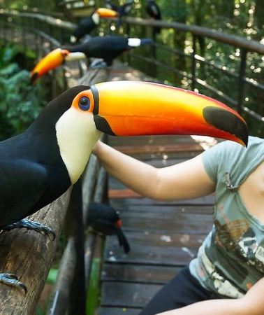 2D1N • Argentine Falls Package with Great Adventure and Brazilian Falls