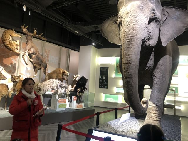拾野自然博物馆