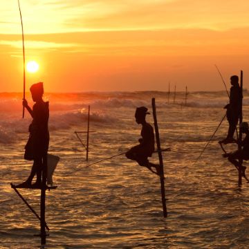 斯里兰卡6日5晚私家团