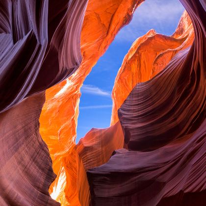 美国东西海岸+尼亚加拉瀑布+黄石国家公园17日跟团游