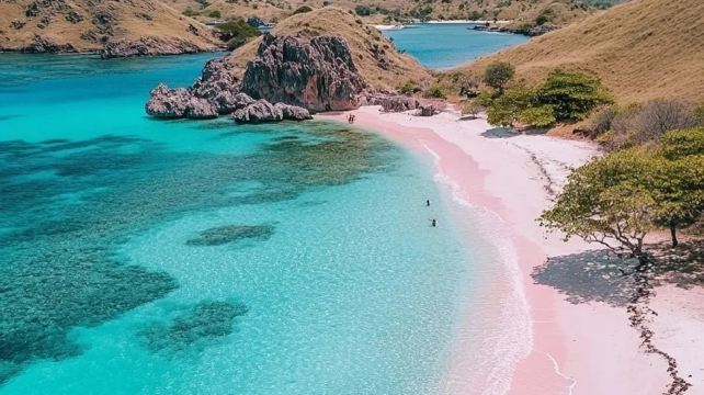 印度尼西亞科莫多+泗水+布羅莫火山+賽武千層瀑布+巴厘島10日8晚·春節+花少同款+打卡布羅莫火山日出+賽武瀑布徒步+粉色沙灘+尋科莫多龍+偶遇魔鬼魚+羅威納追海豚+佩尼達出海浮潛+贈SPA+純玩0購物/小衆祕境