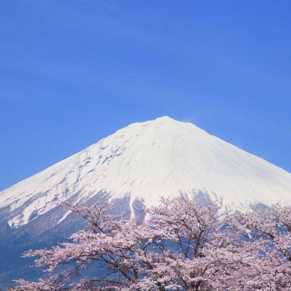 日本东京+日光市+箱根+名古屋+秋叶原电器街+大涌谷+大须观音6日5晚私家团