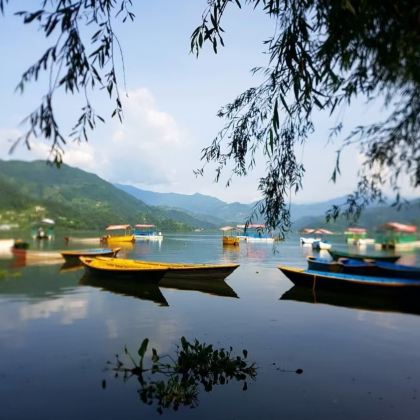 尼泊尔加德满都+奇特旺国家公园5日4晚私家团