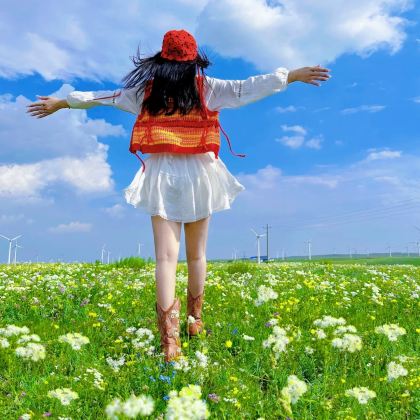 木兰围场+乌兰布统旅游区+坝上+丰宁坝上草原3日2晚拼小团