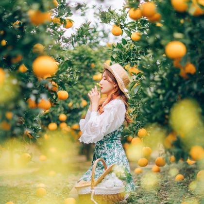 韩国首尔+釜山+济州岛7日6晚私家团