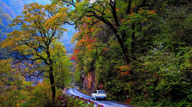 神农架、宜昌+3