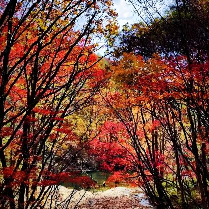 沈阳+本溪3日2晚私家团