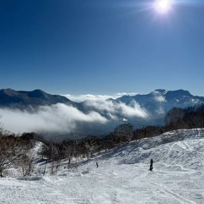 东京+白马八方尾根滑雪场4日3晚私家团