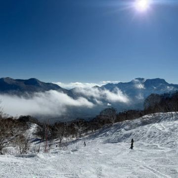 东京+白马八方尾根滑雪场4日3晚私家团