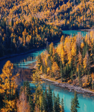 8D7N • Northern Xinjiang + Xinjiang Kanas Lake + Hemu Scenic Area + Keketuohai Scenic District + Baihaba Village + Border Highway + Ahe Highway 