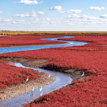 沈阳+盘锦+本溪+丹东6日5晚私家团