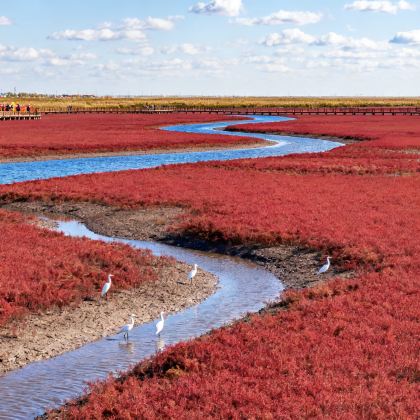 沈阳+盘锦+本溪+丹东6日5晚私家团