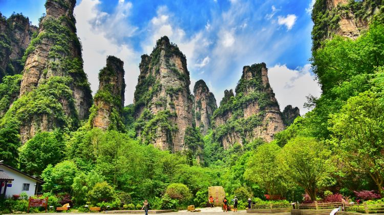 4-Day Scenic Zhangjiajie Group Tour·National Forest Peaks & Tianmen Skywalk