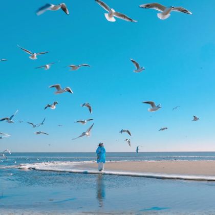 天津+唐山+秦皇岛+北戴河+山海关+承德+避暑山庄6日5晚私家团