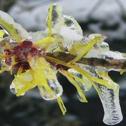 江西南昌+庐山3日2晚拼小团