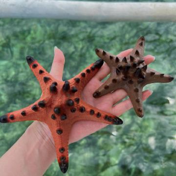 菲律宾宿务7日6晚拼小团