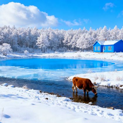 呼伦贝尔+阿尔山5日4晚拼小团