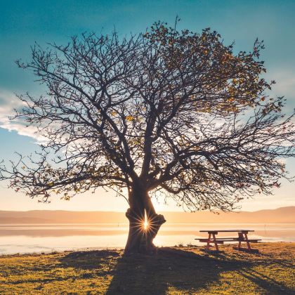 澳大利亚悉尼+墨尔本+海崖大桥+卧龙岗市+悉尼观鲸游船+Mill Bay Boardwalk+巴特曼斯湾+墨尔本观景台9日8晚私家团