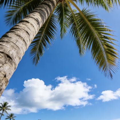 美国夏威夷瓦胡岛6日5晚私家团