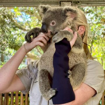 澳大利亚9日8晚拼小团