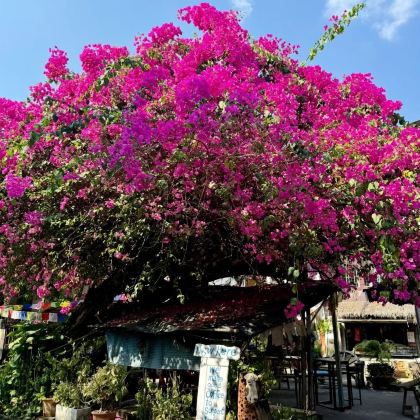 泰国5日4晚私家团