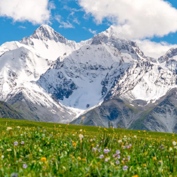 新疆伊犁+那拉提旅游风景区+赛里木湖5日4晚拼小团