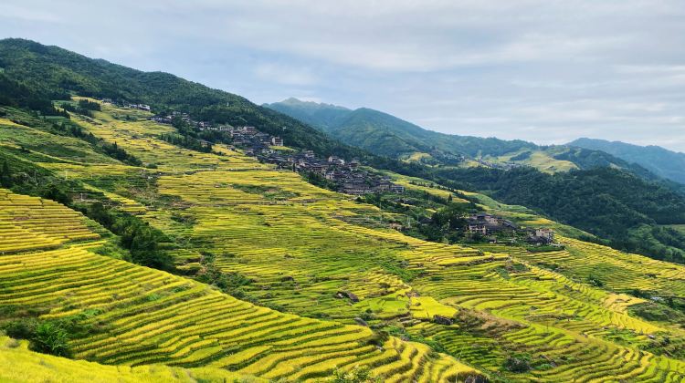 2D1N · Group Tours · Guilin Li River & Longji Terraces & Ping'an Zhuang Village