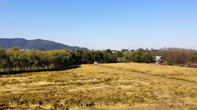 长兴太湖图影湿地文化园-观景塔旅行图片 4