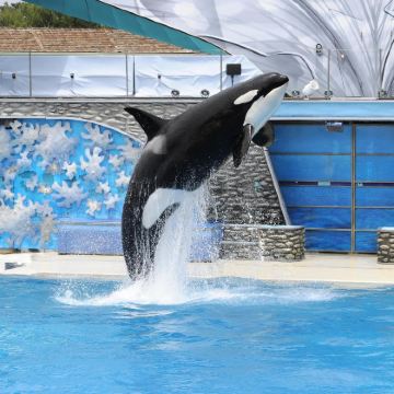 洛杉矶+拉斯维加斯10日9晚自由行