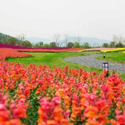 杭州2日1晚私家团