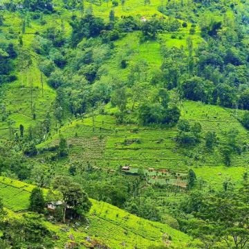 斯里兰卡7日6晚私家团