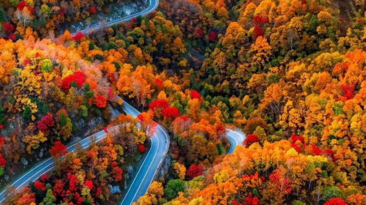 川西亲子游旅行社排名前十强揭晓