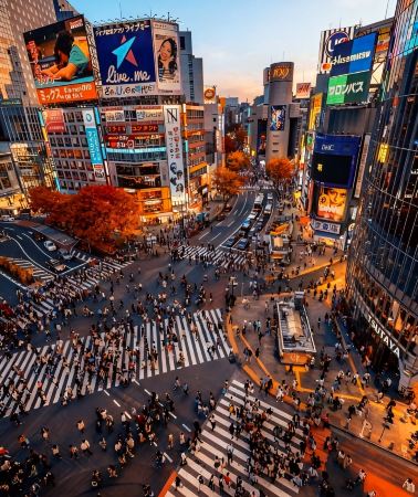 7天6晚 • 日本小資東京旅遊｜東京迪士尼.河口湖.忍野八海.明治神宮.敘敘苑燒肉.溫泉購物